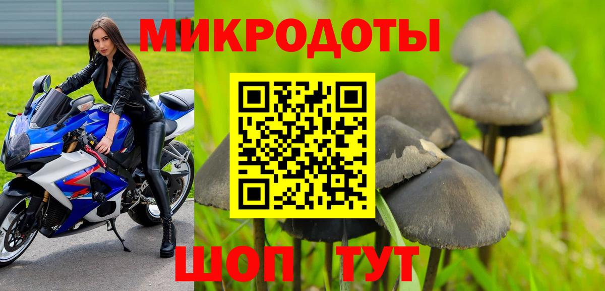 Псилоцибиновые грибы Cubensis  Вход с VPN  Галлюциногенные грибы ЛСД  Новотроицк 