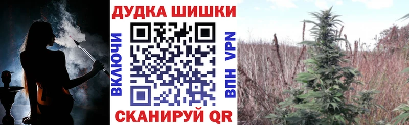 Бошки марихуана LSD WEED Новотроицк
