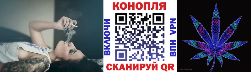 Бошки марихуана MAZAR  купить   Новотроицк 